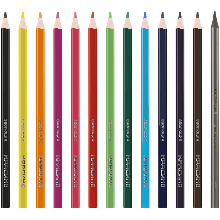 Набор карандашей  12 цв.  пласт. корпус Красин "Эволюция"