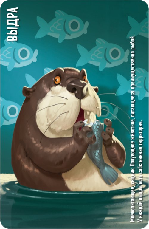 Игра настольная  .8+ с карточками "Similo: Животные" (2+ игроков, 10+ мин) Hobby World