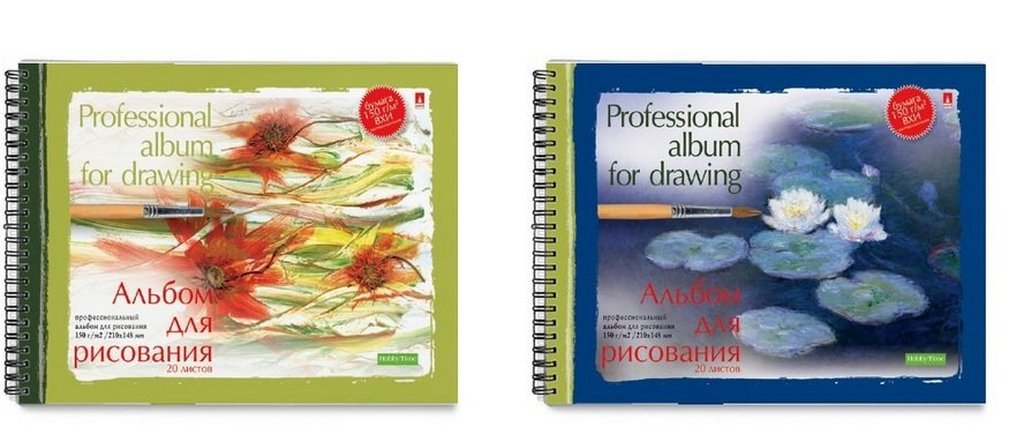 Альбом для рисования А5 20л. на гребне СЕРИЯ "ПРОФЕССИОНАЛЬНАЯ" 2 ОБЛ.