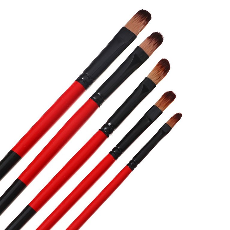 Кисти в наборе  5 шт (синтетика овальные №2,4,6,8,10) Calligrata