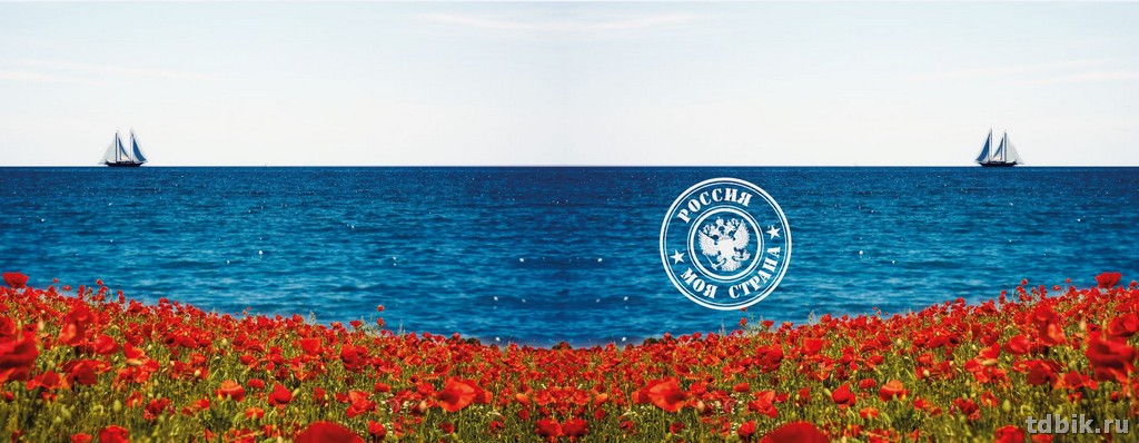 Обложка для зачетной книжки ПВХ   11,5*30 см "Маки"