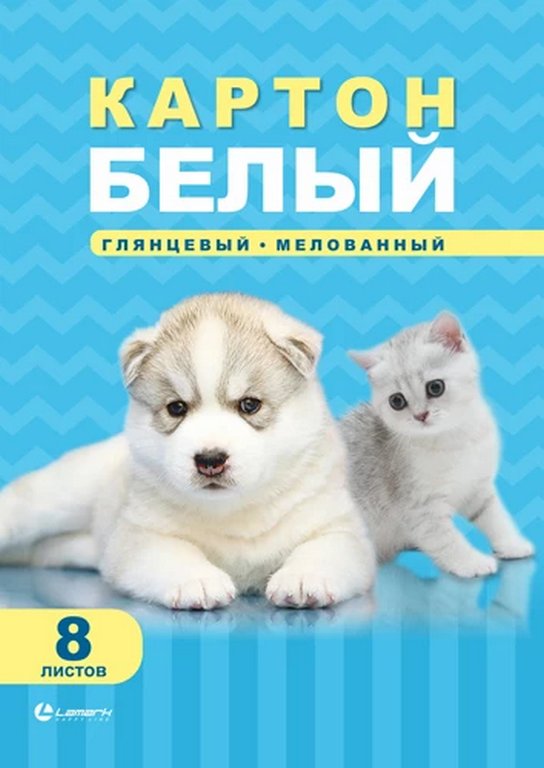 Набор белого картона А4  8л "Белый", 200 гр./м2