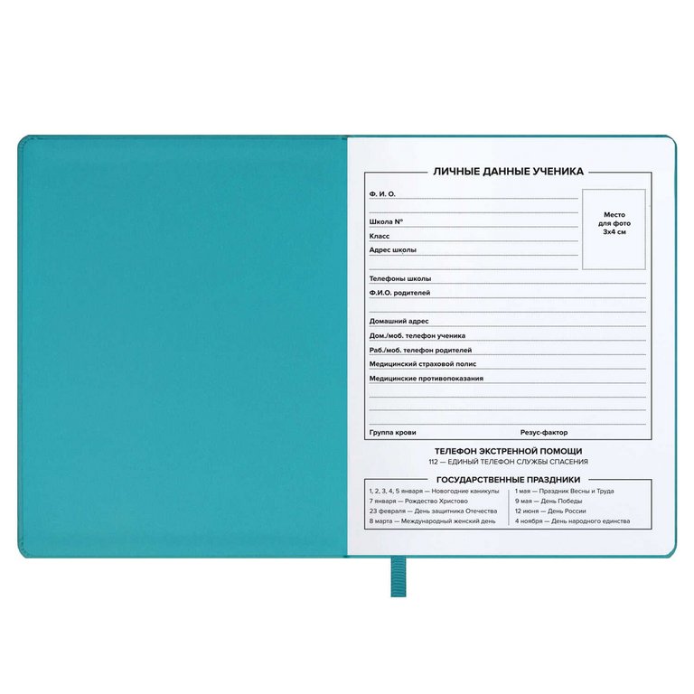 Дневник школьный мягкая обложка, кожзам "БИРЮЗОВЫЙ ТАЙДАЙ"