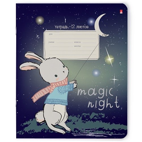 Тетрадь 12 лист лин. А5 "MAGIC NIGHT" 5 видов
