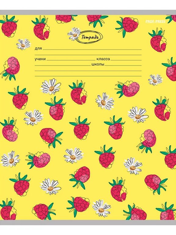 Тетрадь 18 лист лин. А5 "Ягодки и цветы" ассорти Prof-Press