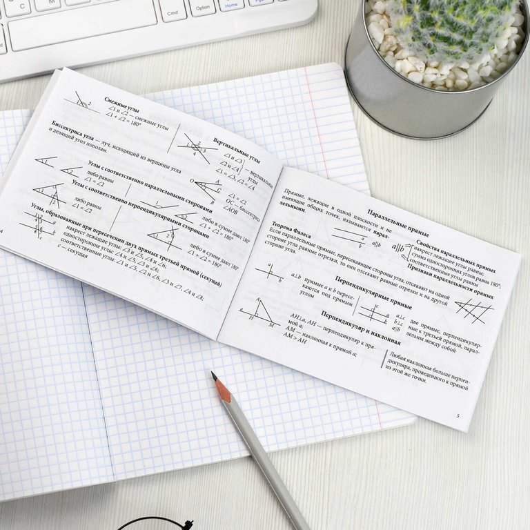 Шпаргалка для подготовки к экзаменам "Геометрия" (ОГЭ, ЕГЭ, ВПР) 32л 140*100мм