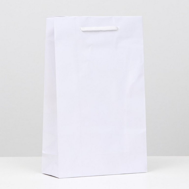 Пакет бумажный 16,5*26,5см ламинированный, белый