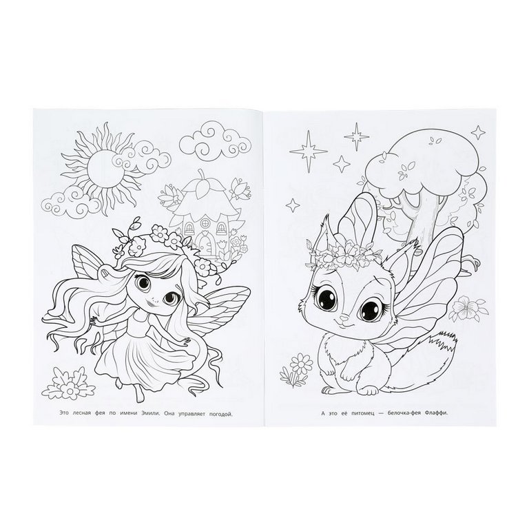 Раскраска А4 "Лесные феи" 16 стр. Умка