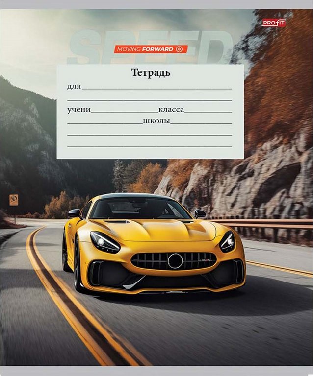 Тетрадь 12 лист лин. косая А5 "АВТО И ПЕЙЗАЖ" Profit