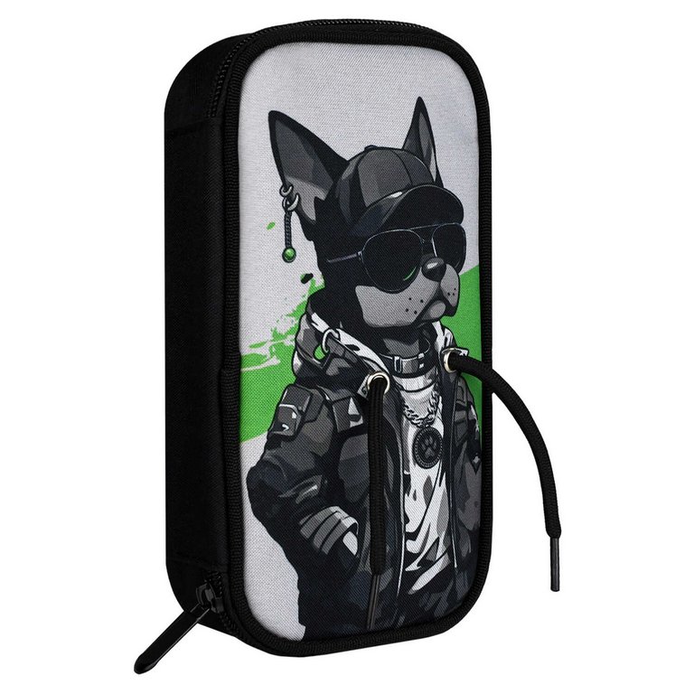 Пенал  для мальчика  настольный Феникс + "Крутой пес" 20х10х4,5 см