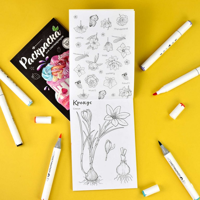 Раскраска для скетч-маркеров А5 "Ботаника" 16л. 230г/м2 Феникс+