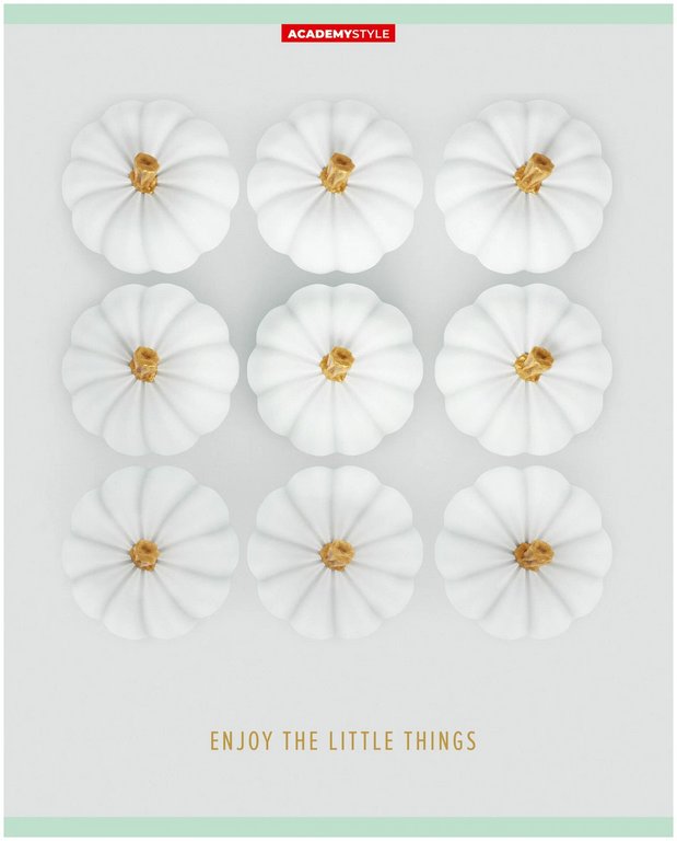 Тетрадь 48 лист кл. А5 на скрепке "Бархатные тыквы"