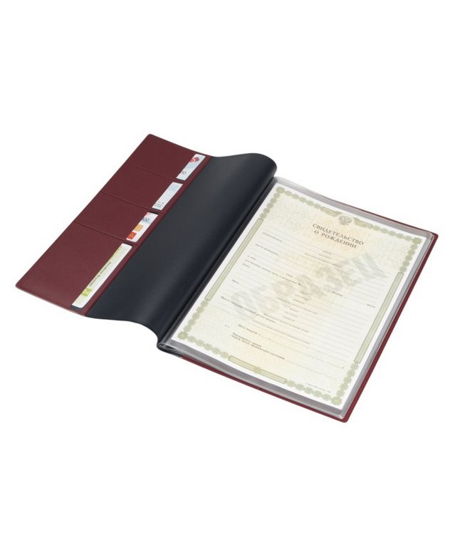 Папка с файлами для семейных документов, ОМС, св-в и СНИЛС, тем. синяя