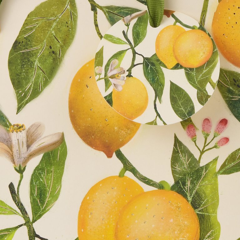 Пакет бумажный 18*23см матовый "Flora. Лимоны" BrunoVisconti