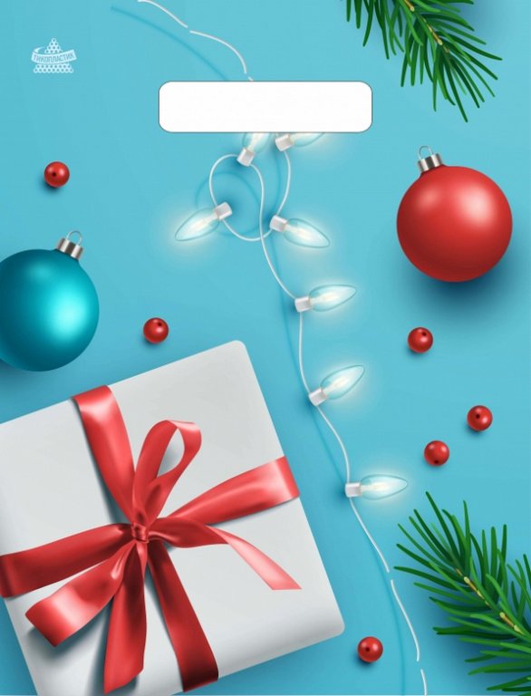 Пакет пробивной НГ 20*30см (30 мкм) "Подарок и шарики"