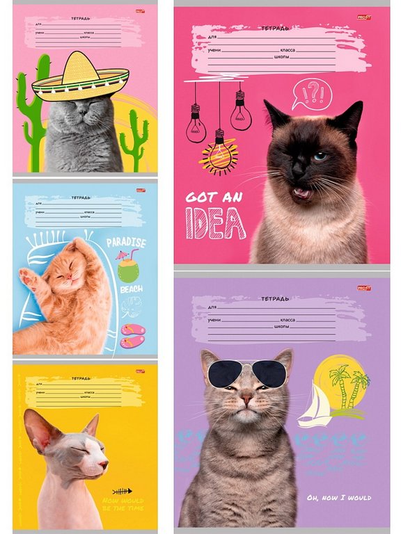 Тетрадь 18 лист кл. А5 "КРЕАТИВНЫЕ КОТЫ" ассорти Profit