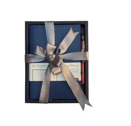 Набор подарочный BrunoVisconti "MERCURY" (ТЕМНО-СИНИЙ ЕЖЕДНЕВНИК А5 + РУЧКА)