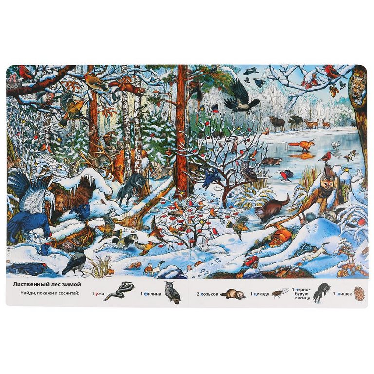 Книга детская Найди и покажи "Времена года" ( А4, 12 стр, картон, 700 картинок)  УМка