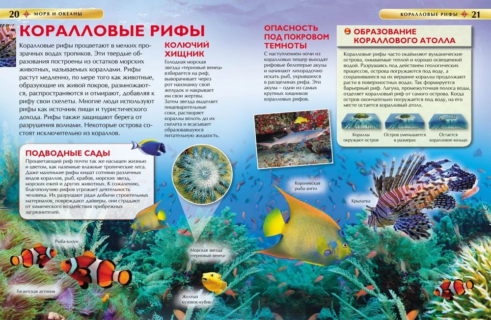 Энциклопедия 7+ "Моря и океаны" Росмэн