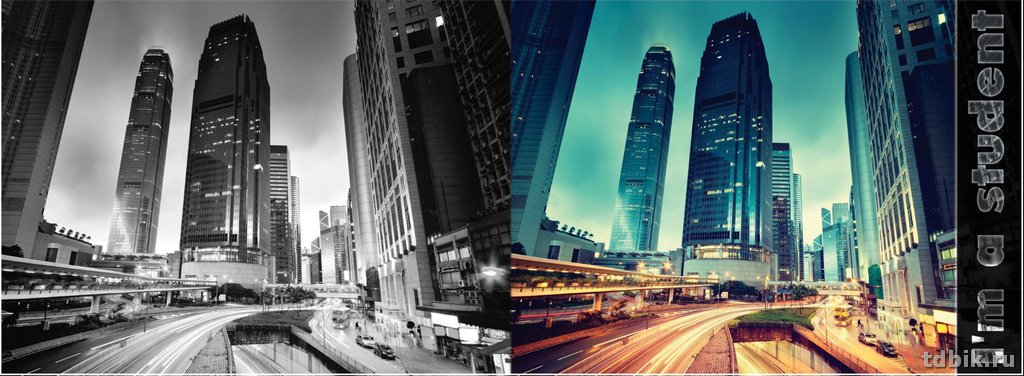 Обложка для студенческого билета из ПВХ  7,8*21,2 "Мегаполис"