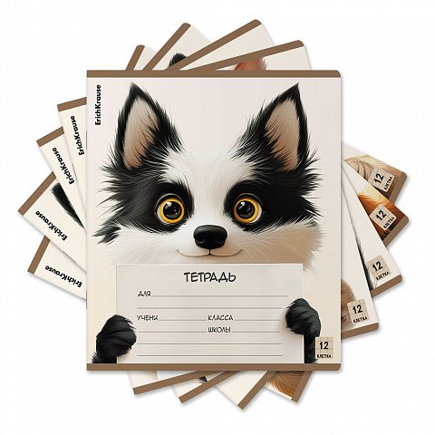 Тетрадь 12 лист лин. А5+ "Note Friends" ErichKrause