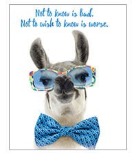 Тетрадь 80 лист кл. А5 на клее  "Прикольная лама в очках" интегр. обл.