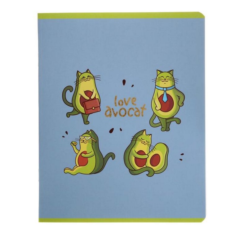 Тетрадь 48 лист кл. А5 на скрепке "Авокот"