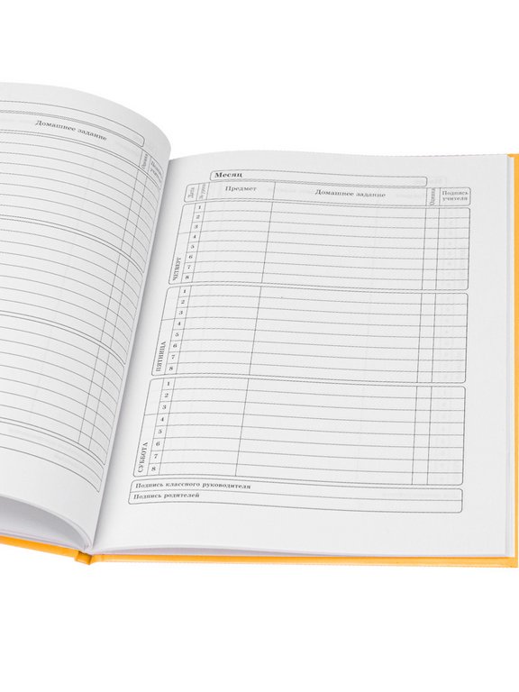 Дневник школьный Prof-Press твердая обложка, глянц. ламин. "ЧЁРНЫЙ КОТ НА ОРАНЖЕВОМ" 40л.