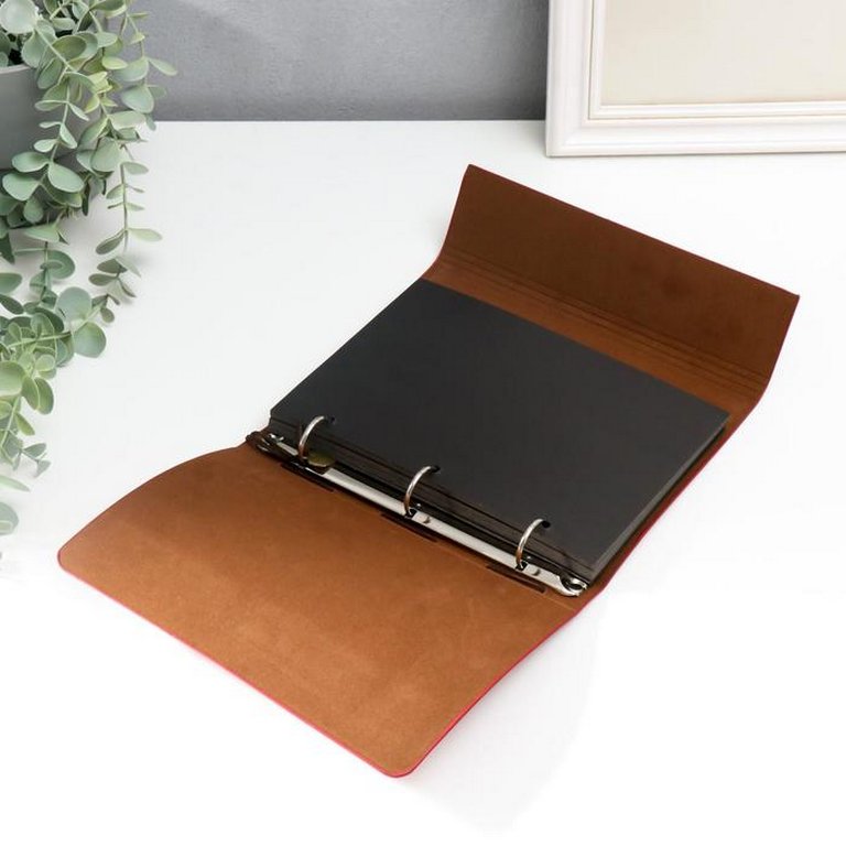 Фотоальбом для наклеивания фото 30 листов на кольцах 22*17см "Девушка в платье с бабочками" кожзам