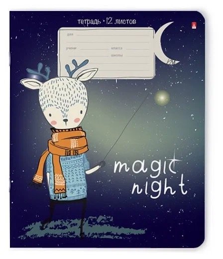 Тетрадь 12 лист кл. А5 "MAGIC NIGHT" 5 видов