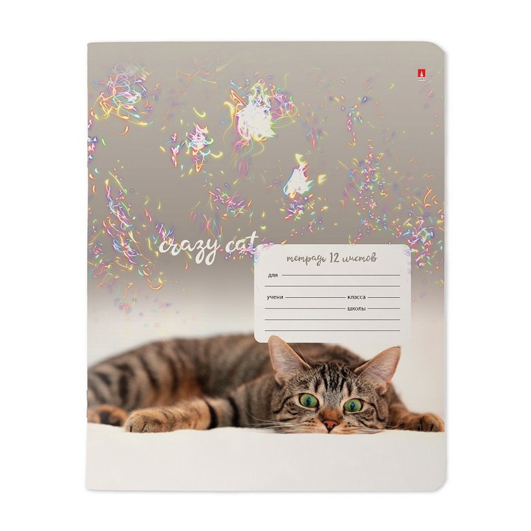 Тетрадь 12 лист кл. А5 "УДИВИТЕЛЬНЫЕ КОТЯТА"
