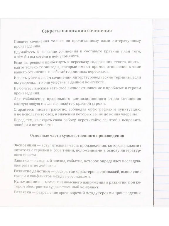 Тетрадь 48 лист лин. А5 на скрепке, со справ. мат-ом "ERROR. ДЛЯ СОЧИНЕНИЙ"