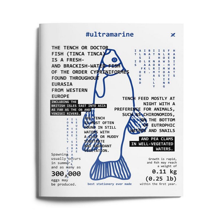 Тетрадь 48 лист кл. А5 на скрепке LOREX "ULTRAMARINE" мел. карт. запечатка форзаца, soft touch