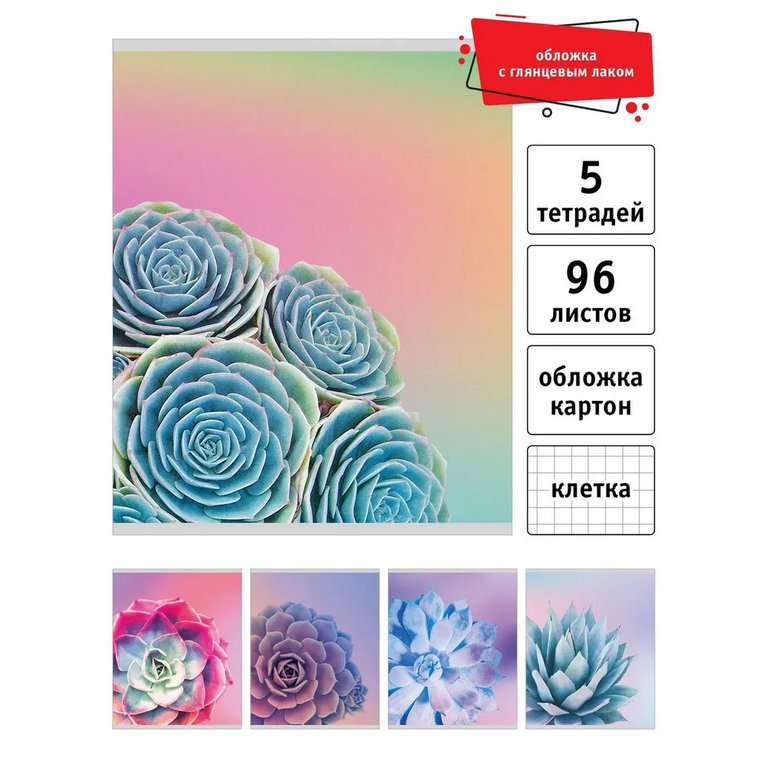 Тетрадь 96 лист кл. А5 на скрепке "Суккуленты"