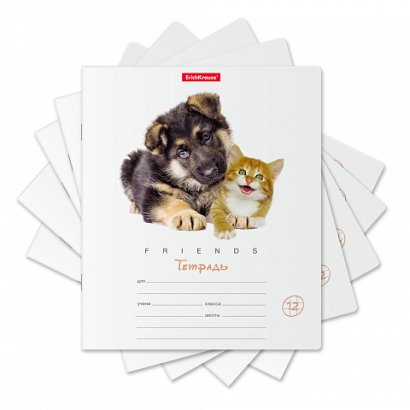 Тетрадь 12 лист кл. А5 "Дружба"