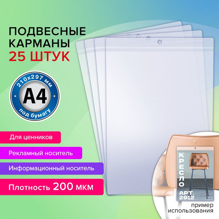 Папка-карман A4 пластик 0,20 мм с кругл. отвертс. BRAUBERG