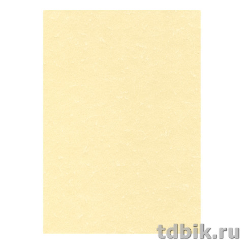 Бумага для дизайнерских работ DECAdry А4 165г/м тиснение пергамент 15 л/уп, шампань