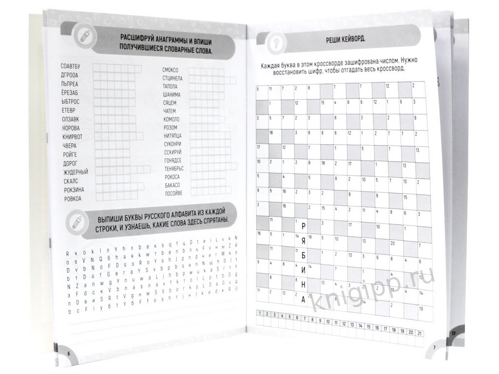 Тетрадь для обучения "Занимательные головоломки" 6-9 лет ПРОФ-пресс