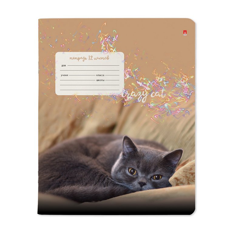 Тетрадь 12 лист лин. А5 "УДИВИТЕЛЬНЫЕ КОТЯТА"  5 ВИДОВ