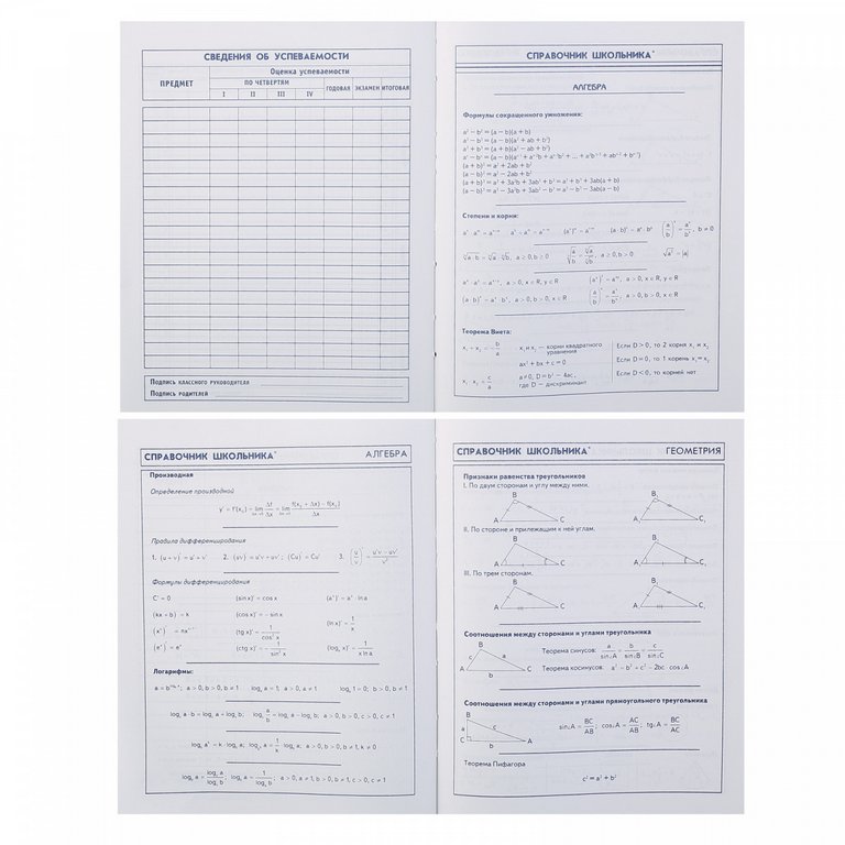 Дневник для ст/кл. твердая обложка, тисн. фольгой, глян. ламин.  "ХИП-ХОП ЛЕВ"