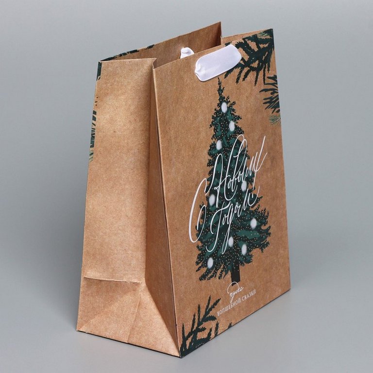 Пакет бумажный НГ 18*23см крафт "Winter"