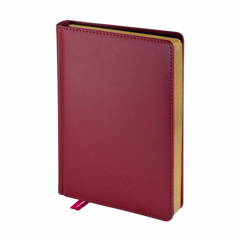 Ежедневник без дат 145*216 мм Bruno Visconti "Parlament", бордовый