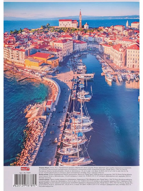 Тетрадь 96 лист кл. А4 на скрепке "ПРИБРЕЖНЫЙ ГОРОДОК"