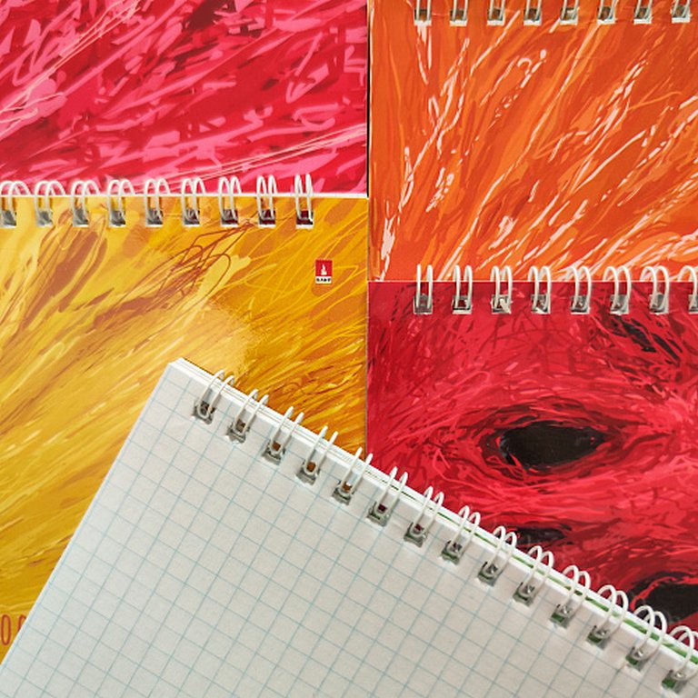 Блокнот А5  40л., 150*210 мм, на гребне Альт "EXOTIC FRUITS" 5 видов