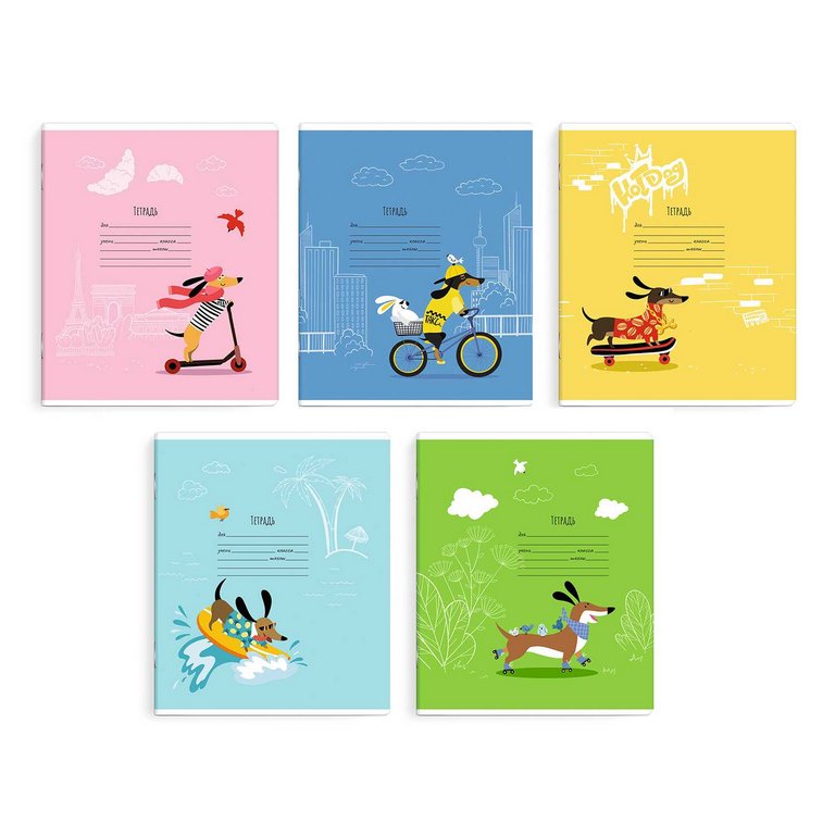 Тетрадь 12 лист лин. А5 "ЕВРОТАКСА", ассорти