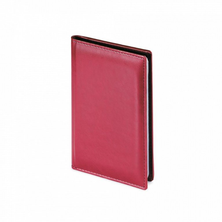 Визитница на 72 визитки Bruno Visconti VELVET кожзам, цвет бордовый