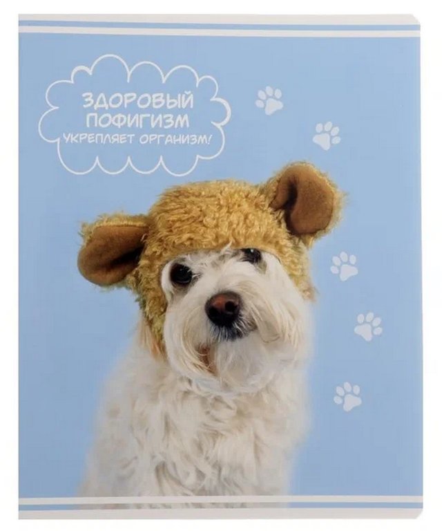 Тетрадь 60 лист кл. А5 на скрепке "Rachael Hale"