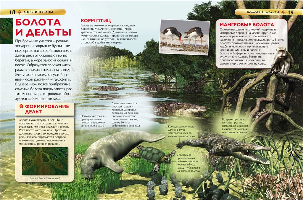 Энциклопедия 7+ "Моря и океаны" Росмэн