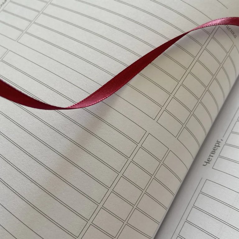 Дневник школьный Премиум "VELVET" (ЧЕРНЫЙ)