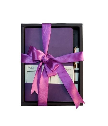 Набор подарочный BrunoVisconti "MEGAPOLIS FLEX" (ФИОЛЕТОВЫЙ ЕЖЕДНЕВНИК А5 + РУЧКА)